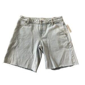 PacSun Light Blue Women's Jean Shorts